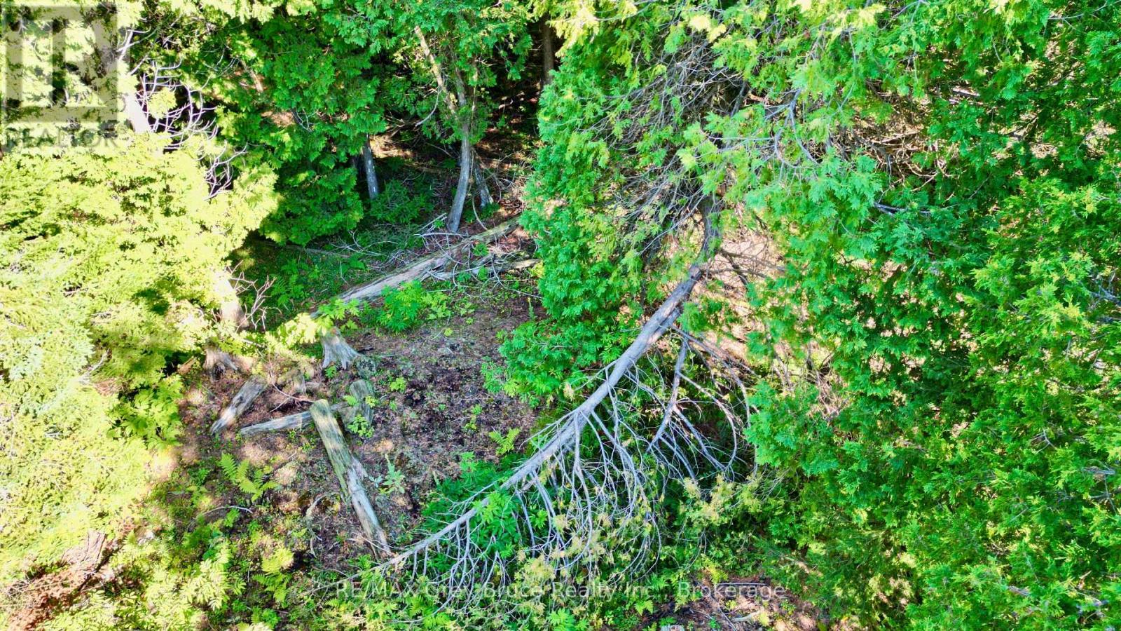 Lot 30 Myles Drive, Northern Bruce Peninsula, Ontario N0H 2R0 - Photo 6 - X12728236