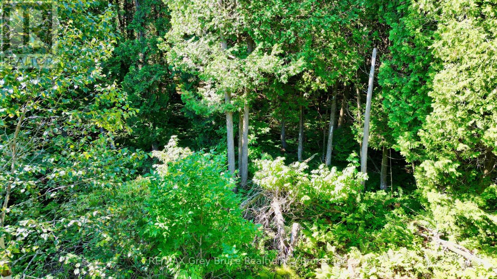 Lot 30 Myles Drive, Northern Bruce Peninsula, Ontario N0H 2R0 - Photo 8 - X12728236
