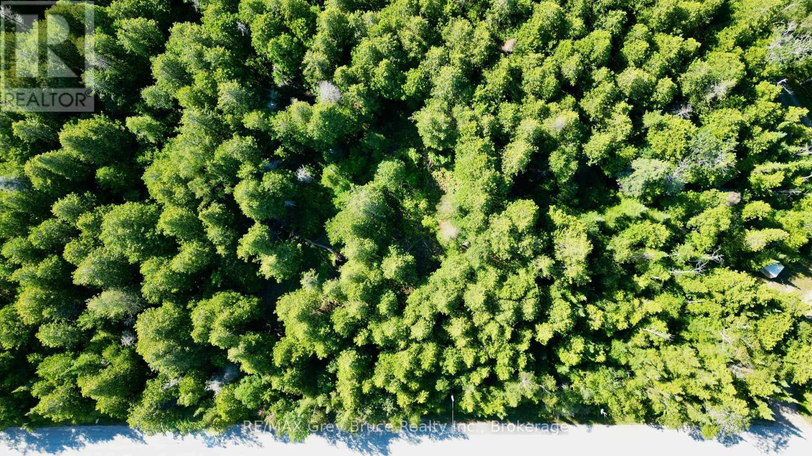 Lot 30 Myles Drive, Northern Bruce Peninsula, Ontario N0H 2R0 - Photo 23 - X12728236