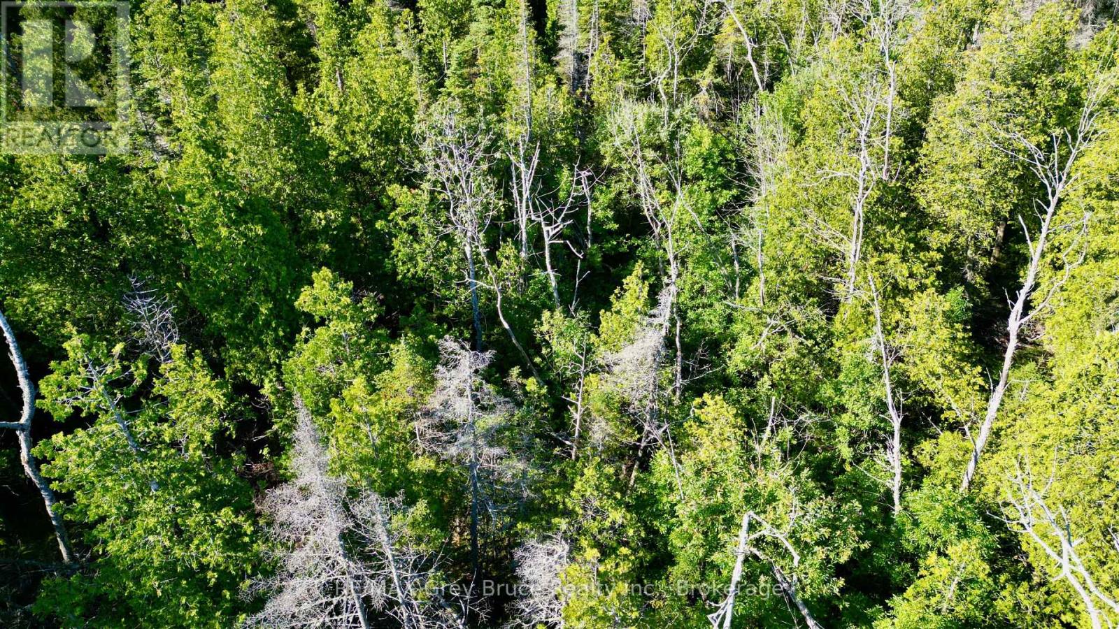 Lot 22 Ray Drive, Northern Bruce Peninsula, Ontario  N0H 2R0 - Photo 18 - X12728198