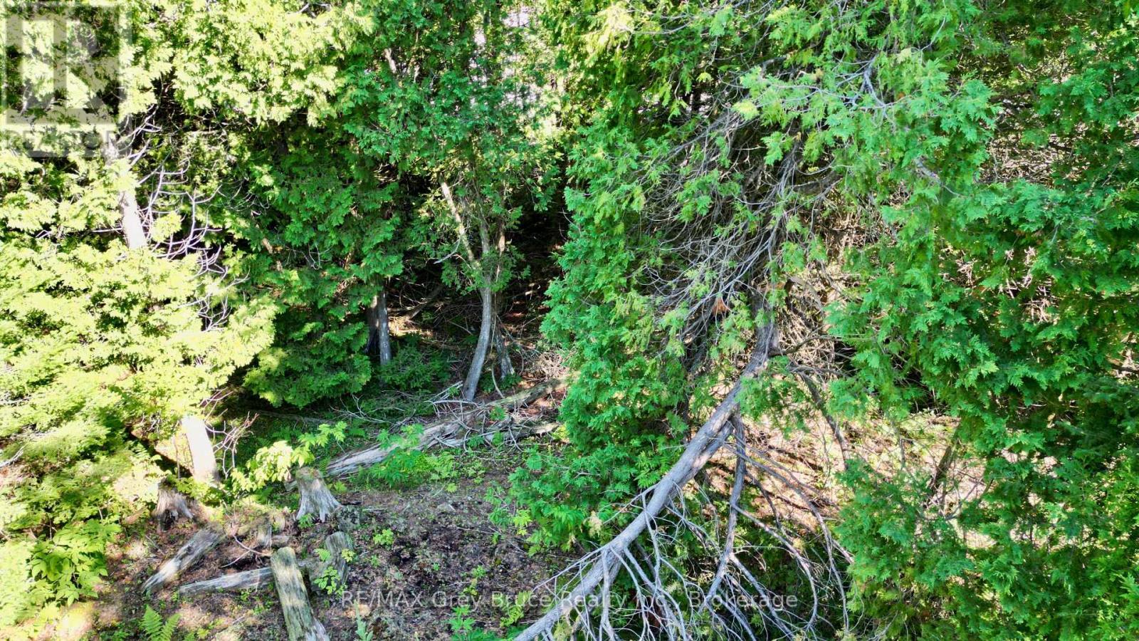Lot 30 Myles Drive, Northern Bruce Peninsula, Ontario N0H 2R0 - Photo 7 - X12728236