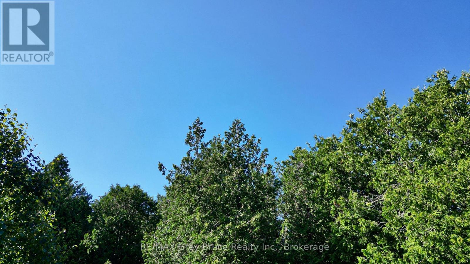 Lot 30 Myles Drive, Northern Bruce Peninsula, Ontario N0H 2R0 - Photo 9 - X12728236