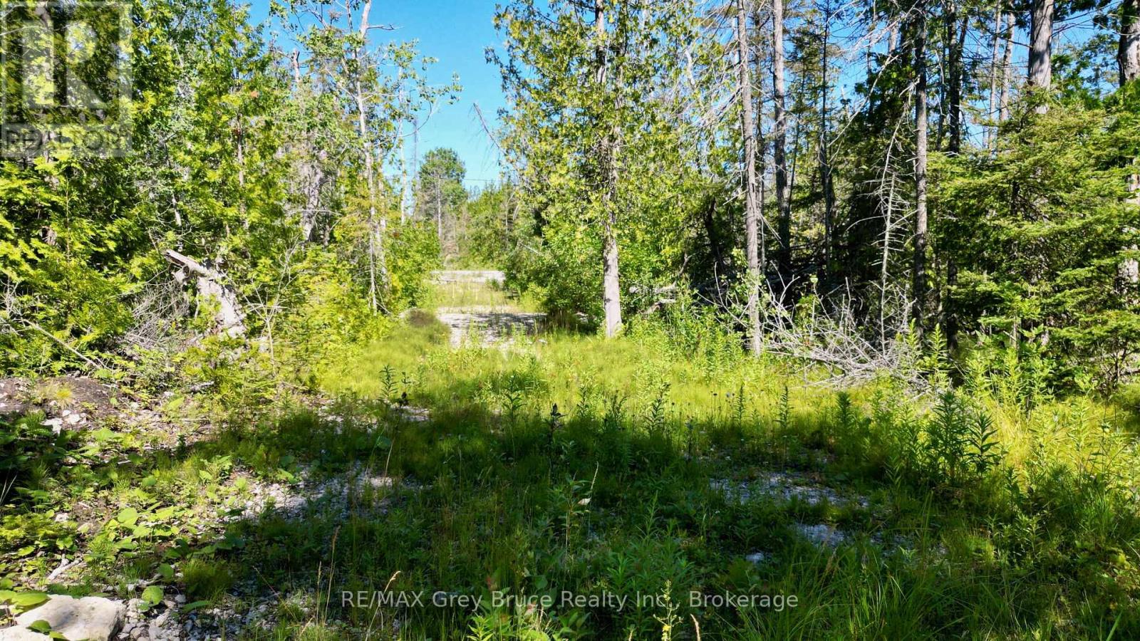 31 Baise Avenue, Northern Bruce Peninsula, Ontario  N0H 2R0 - Photo 12 - X12526086