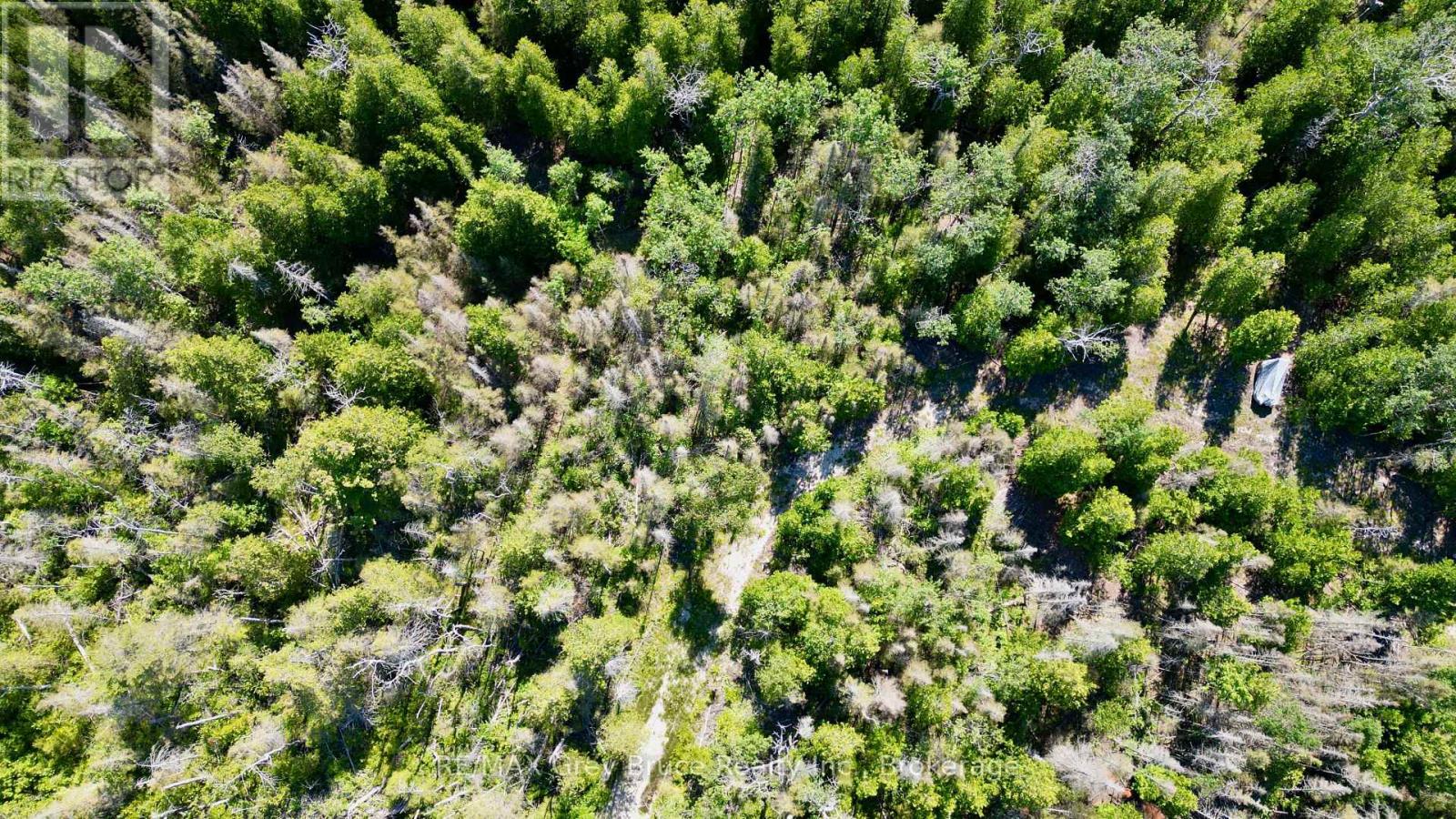 31 Baise Avenue, Northern Bruce Peninsula, Ontario  N0H 2R0 - Photo 15 - X12526086