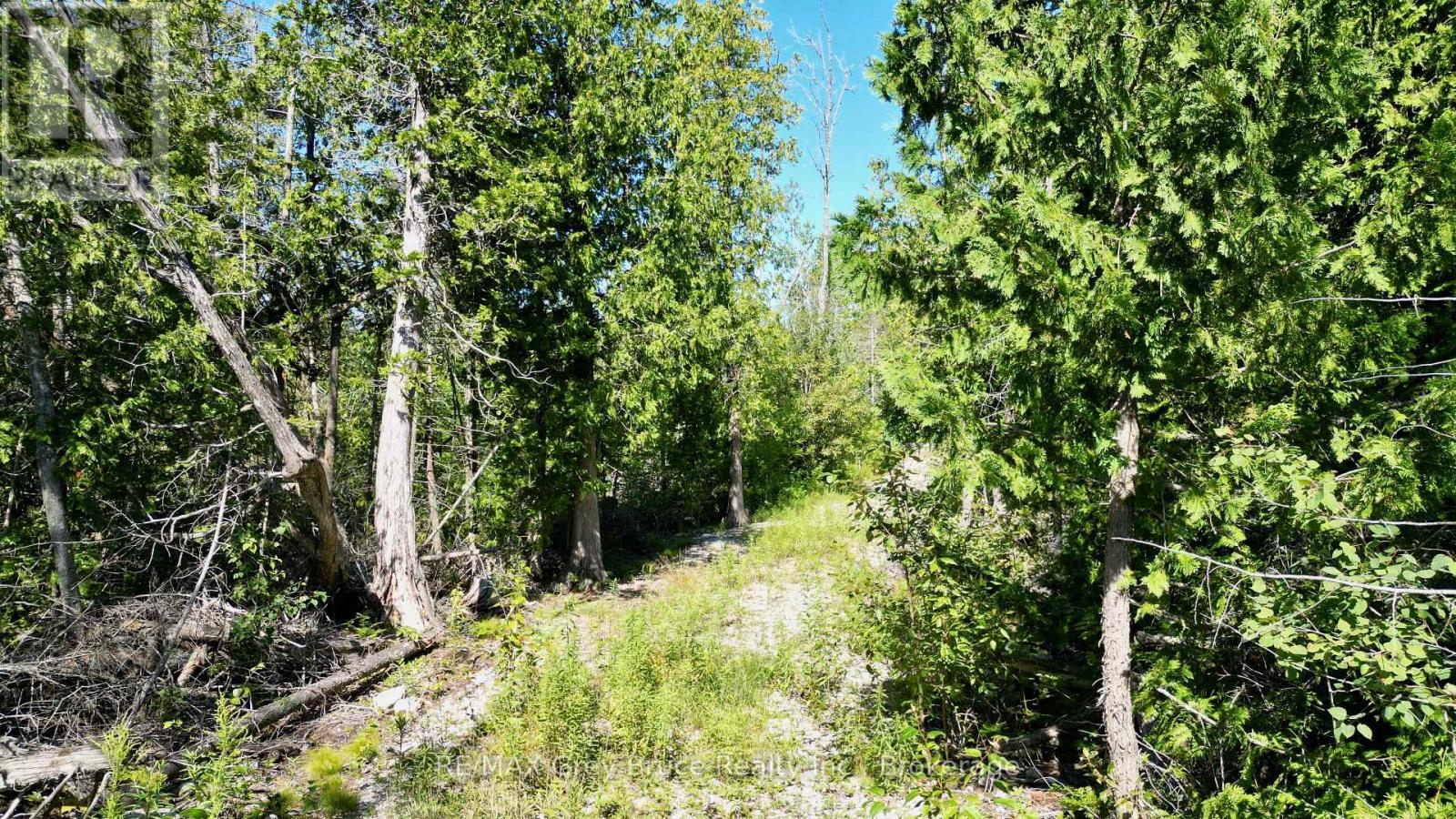 31 Baise Avenue, Northern Bruce Peninsula, Ontario  N0H 2R0 - Photo 28 - X12526086