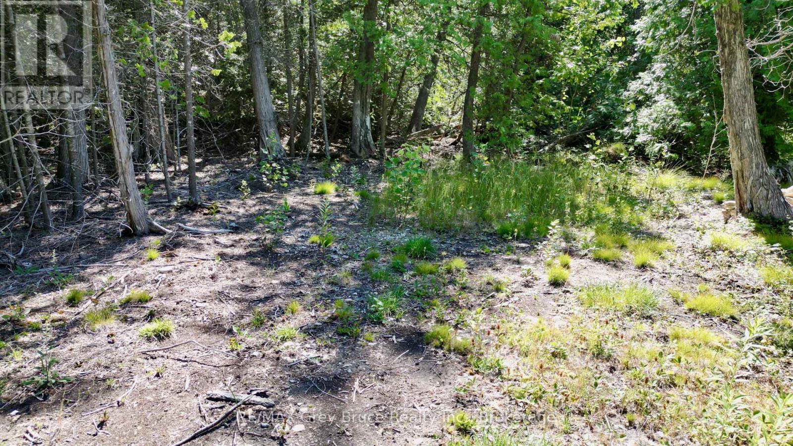 31 Baise Avenue, Northern Bruce Peninsula, Ontario  N0H 2R0 - Photo 24 - X12526086