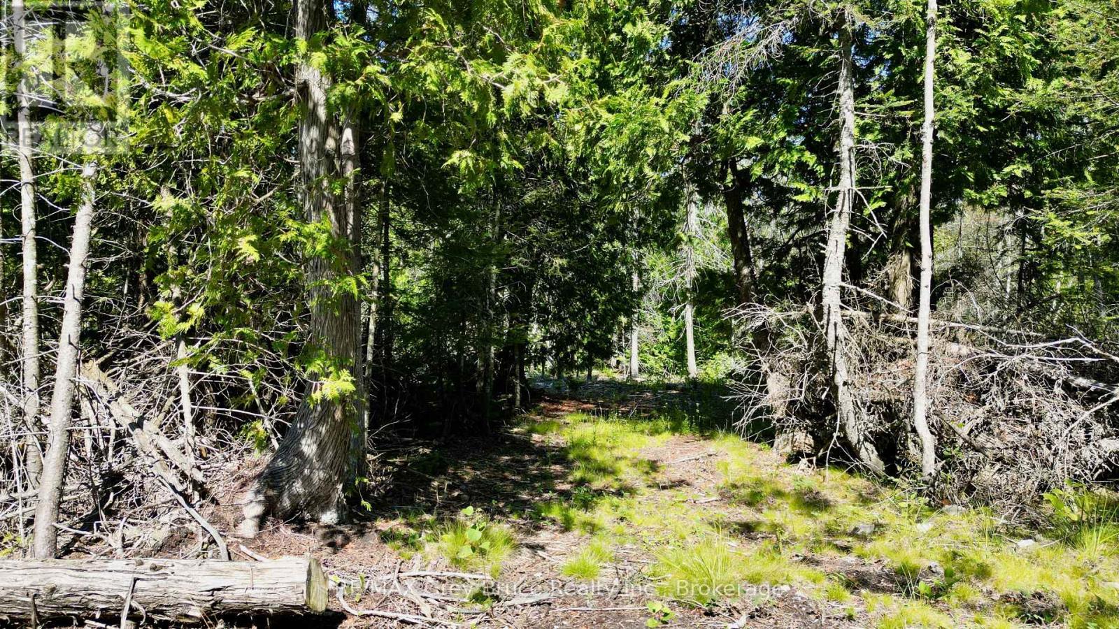 31 Baise Avenue, Northern Bruce Peninsula, Ontario  N0H 2R0 - Photo 25 - X12526086