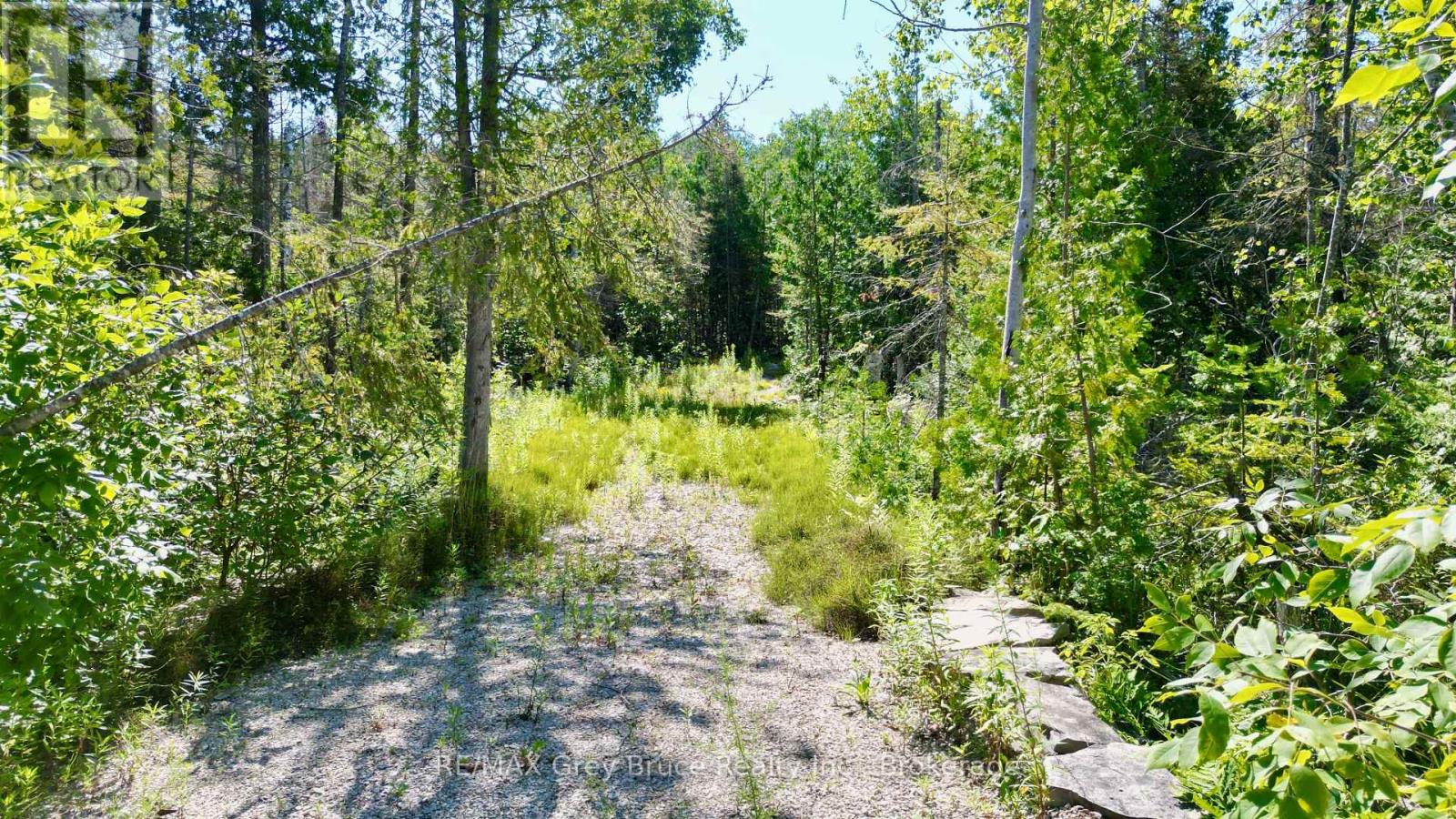 31 Baise Avenue, Northern Bruce Peninsula, Ontario  N0H 2R0 - Photo 10 - X12526086