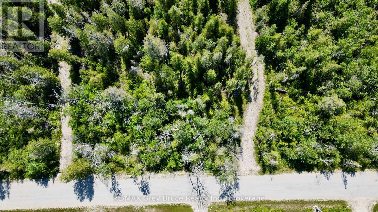 31 Baise Avenue, Northern Bruce Peninsula, Ontario  N0H 2R0 - Photo 20 - X12526086