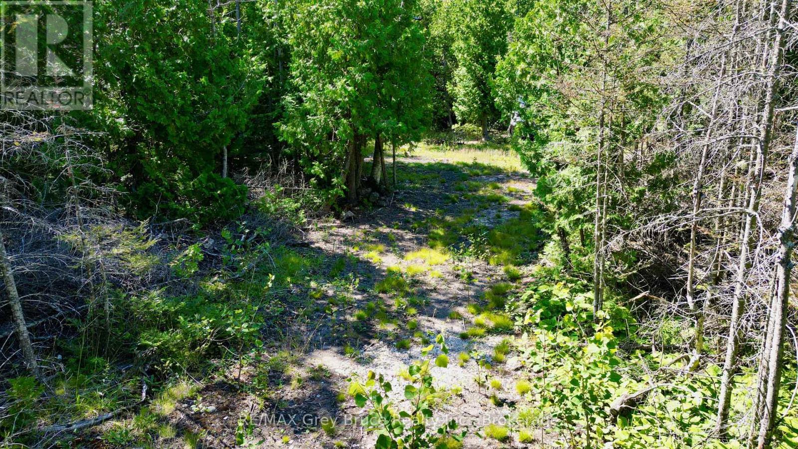 31 Baise Avenue, Northern Bruce Peninsula, Ontario  N0H 2R0 - Photo 22 - X12526086
