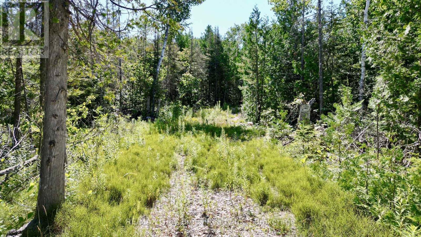 31 Baise Avenue, Northern Bruce Peninsula, Ontario  N0H 2R0 - Photo 11 - X12526086