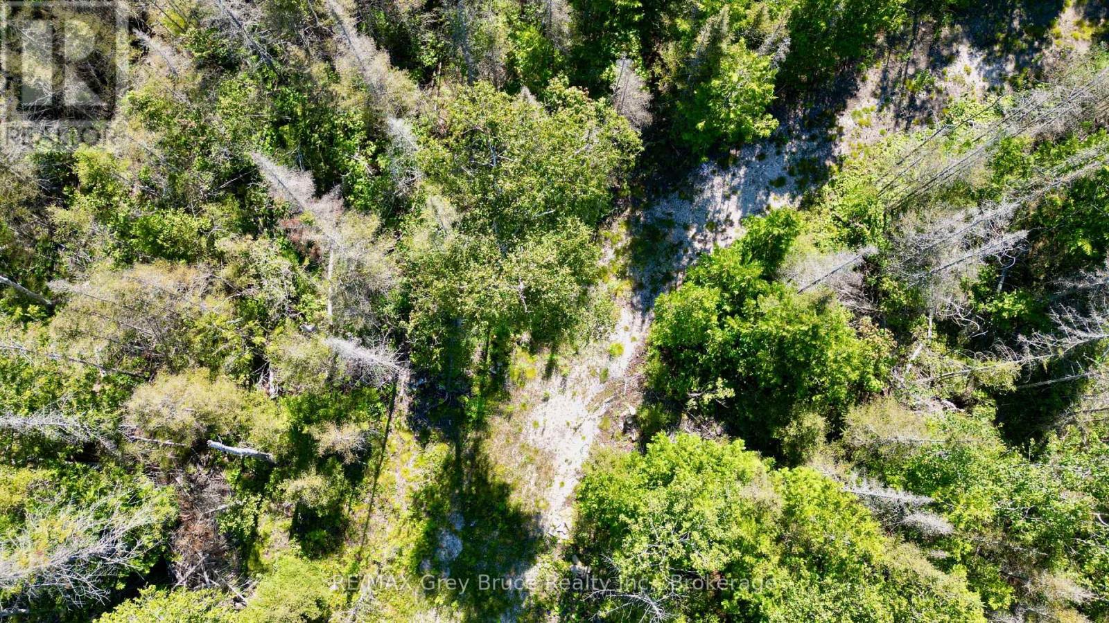 31 Baise Avenue, Northern Bruce Peninsula, Ontario  N0H 2R0 - Photo 14 - X12526086