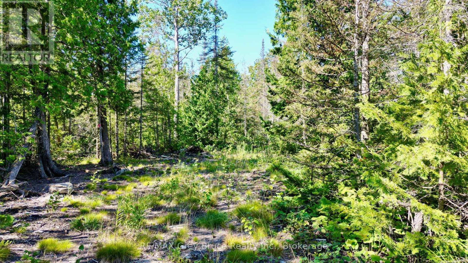 31 Baise Avenue, Northern Bruce Peninsula, Ontario  N0H 2R0 - Photo 26 - X12526086