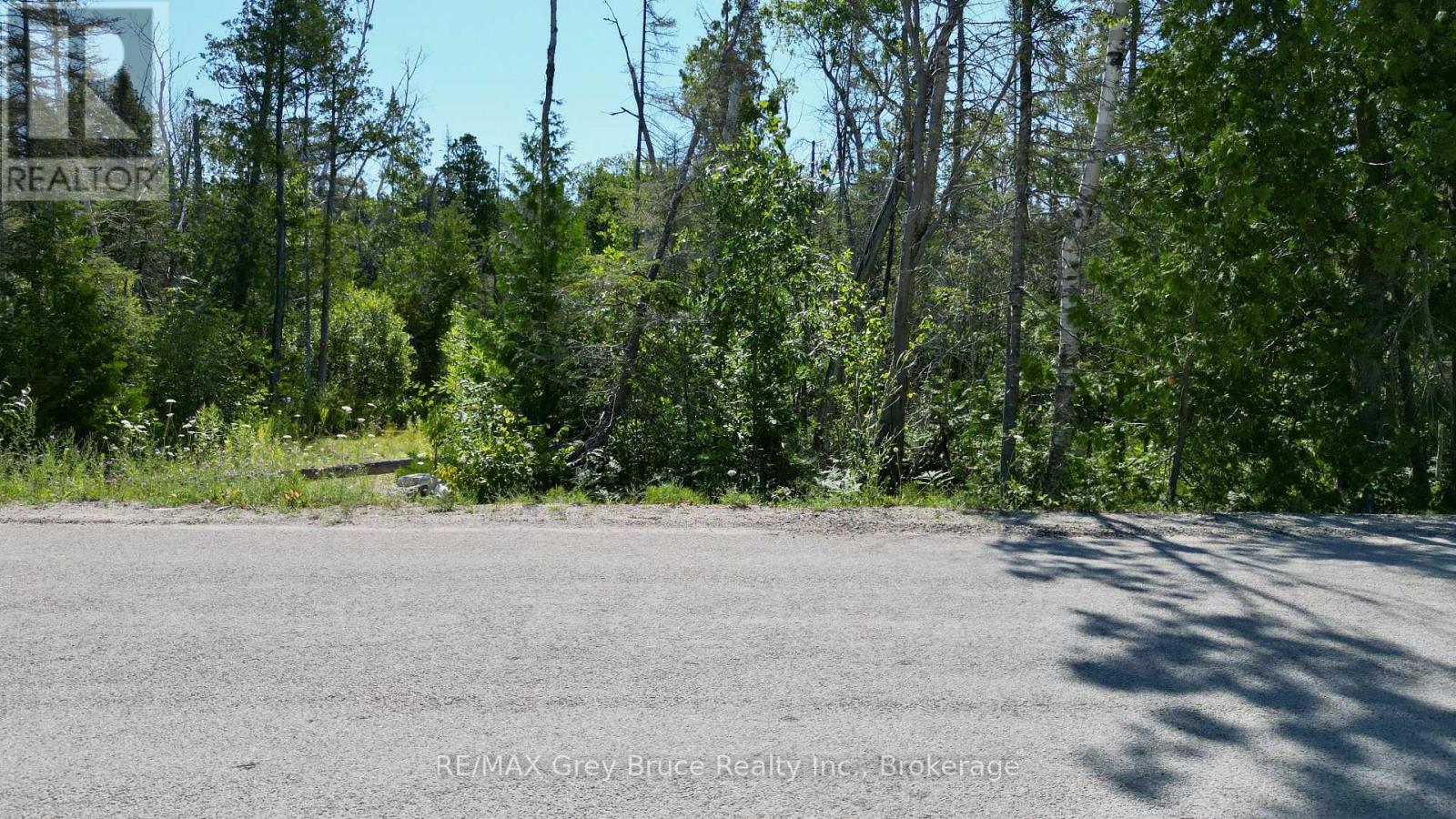 31 Baise Avenue, Northern Bruce Peninsula, Ontario  N0H 2R0 - Photo 7 - X12526086