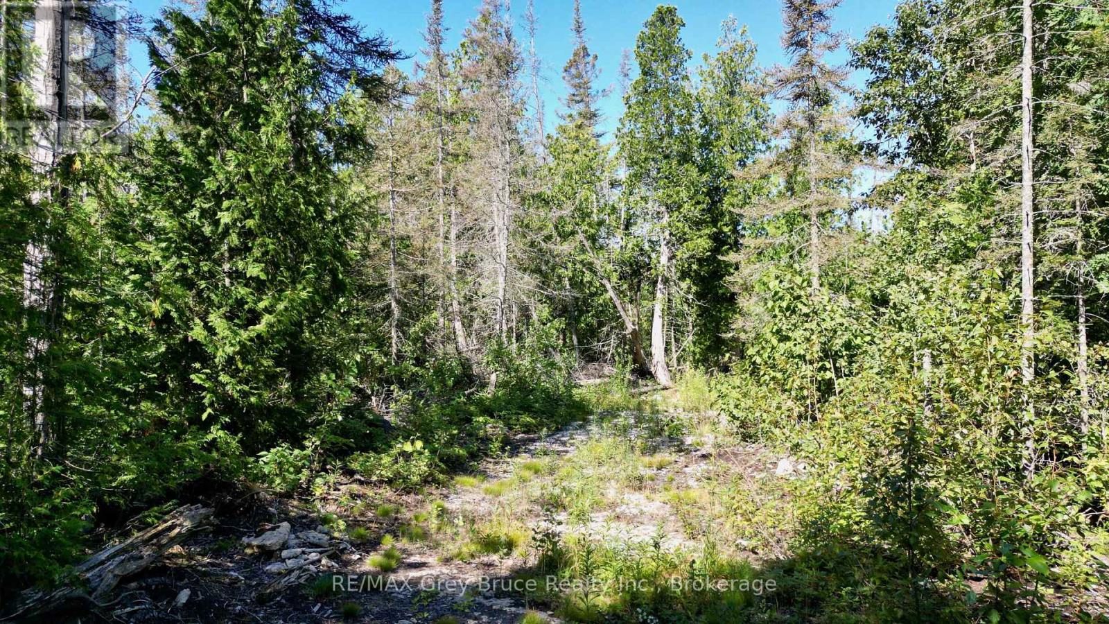 31 Baise Avenue, Northern Bruce Peninsula, Ontario  N0H 2R0 - Photo 27 - X12526086