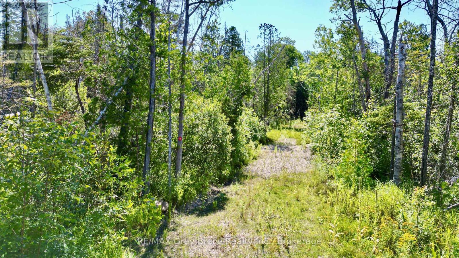 31 Baise Avenue, Northern Bruce Peninsula, Ontario  N0H 2R0 - Photo 9 - X12526086