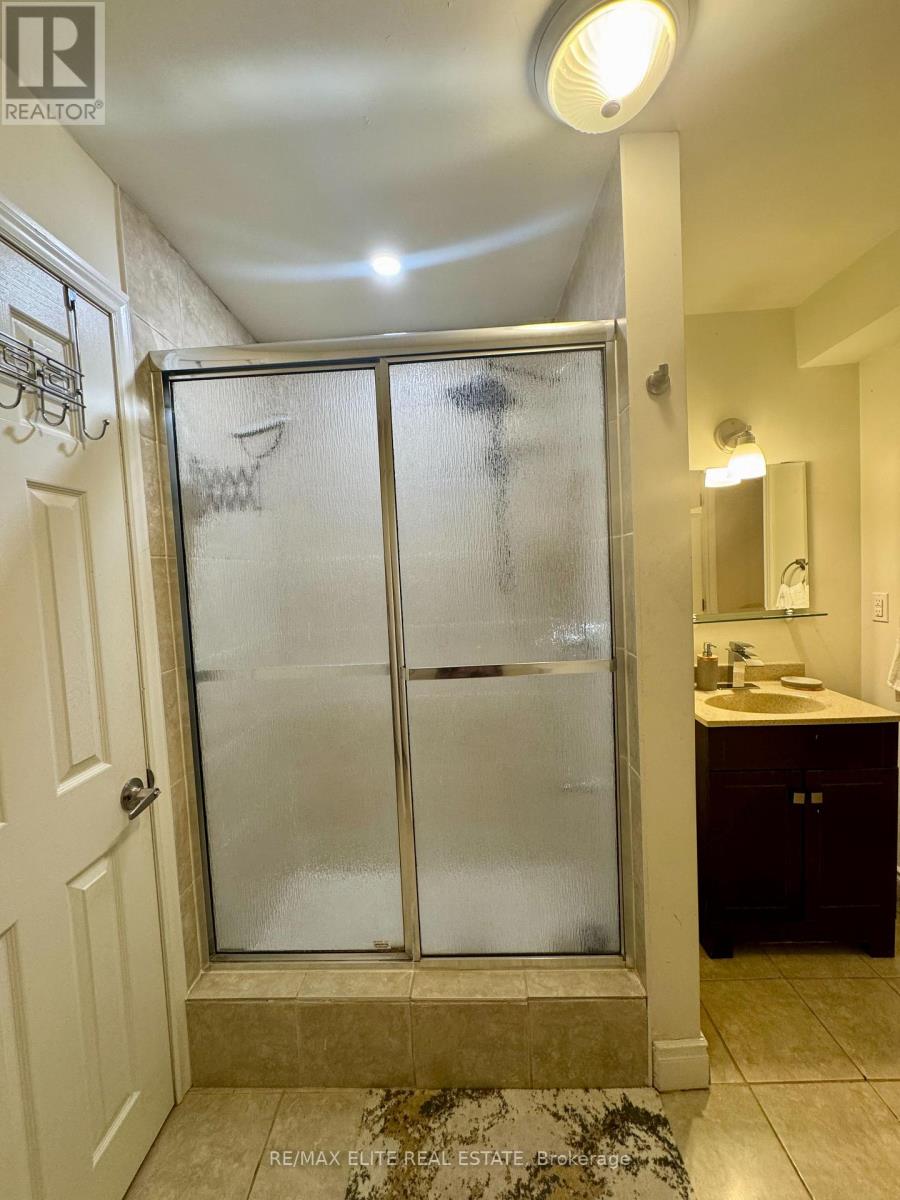 Basement - 169 Larratt Lane, Richmond Hill, Ontario  L4C 0E8 - Photo 13 - N13641510