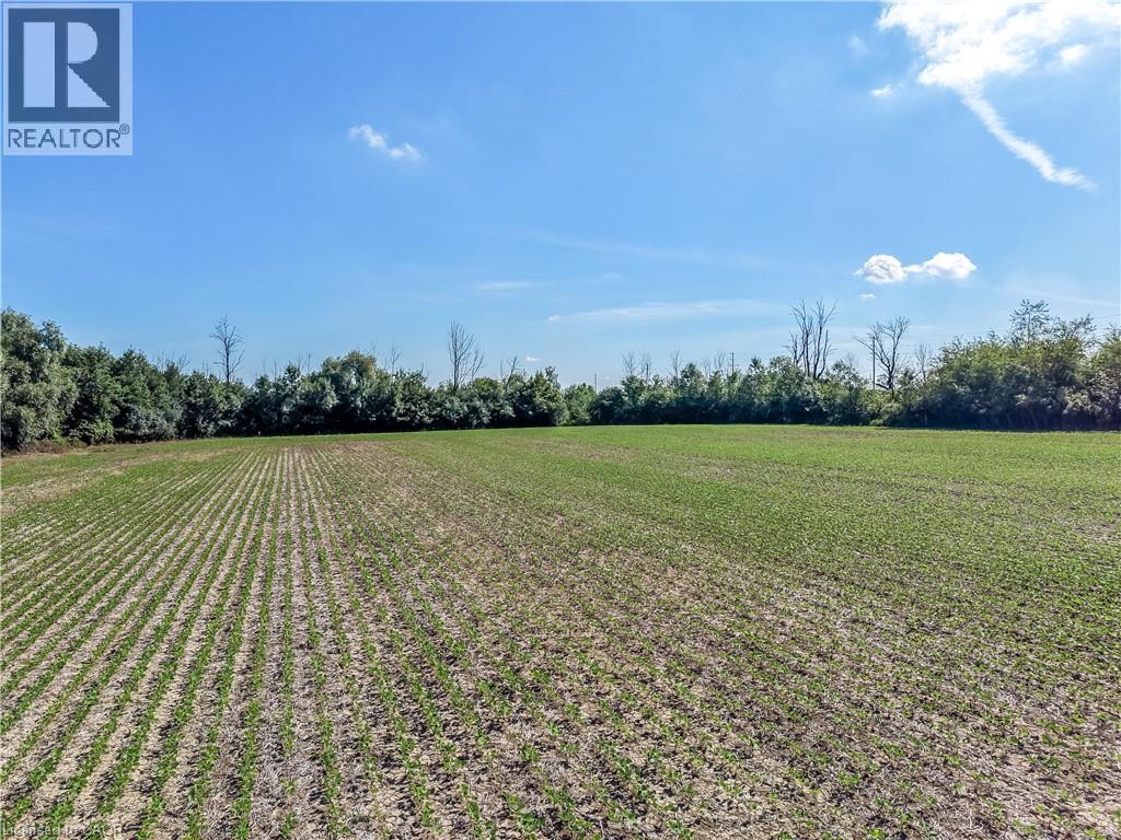Pt Lt 13 Highway 6, Hagersville, Ontario  N0A 1H0 - Photo 14 - 40846043