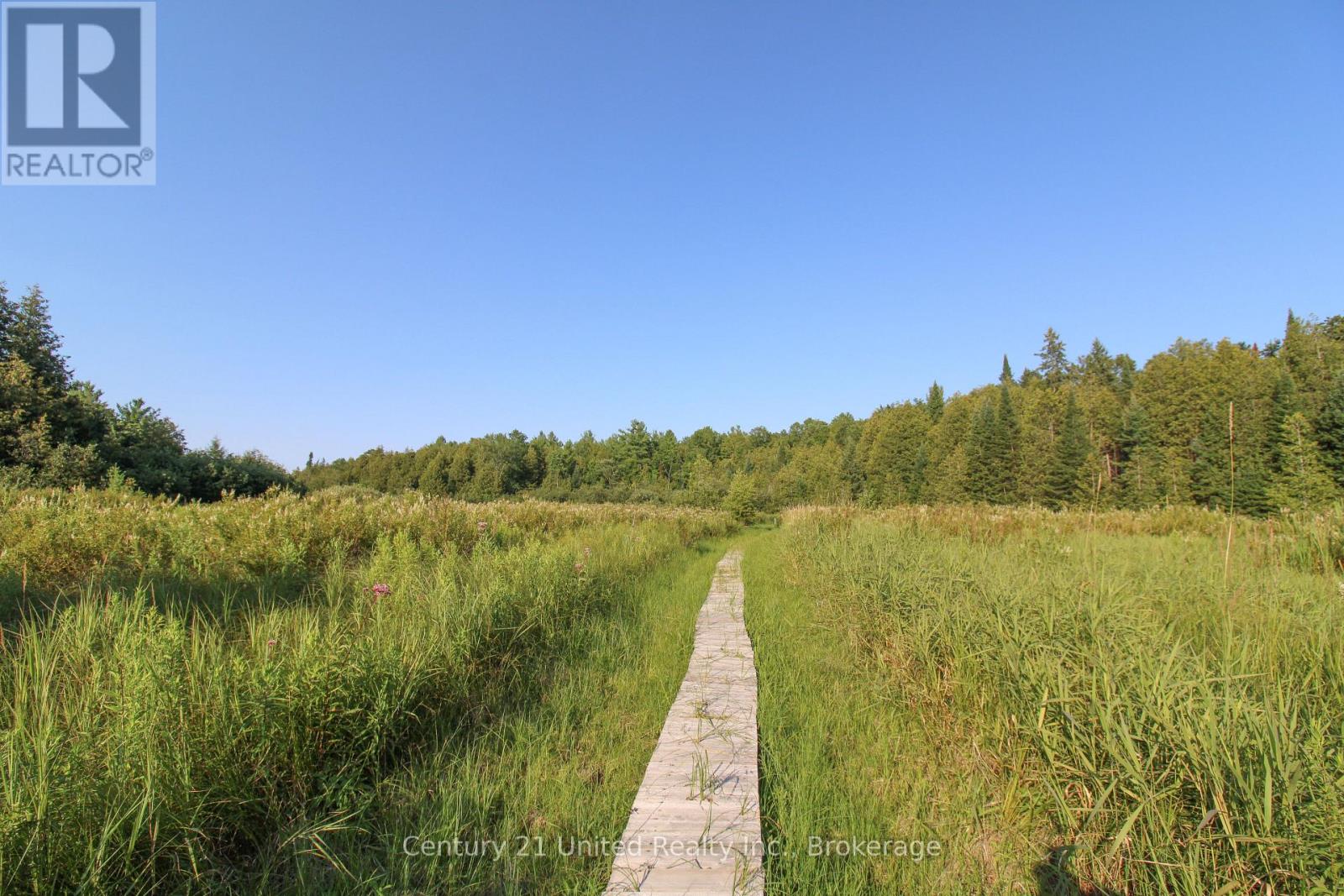 395 Sawmill Road, Douro-Dummer, Ontario  K0L 2H0 - Photo 35 - X13641574