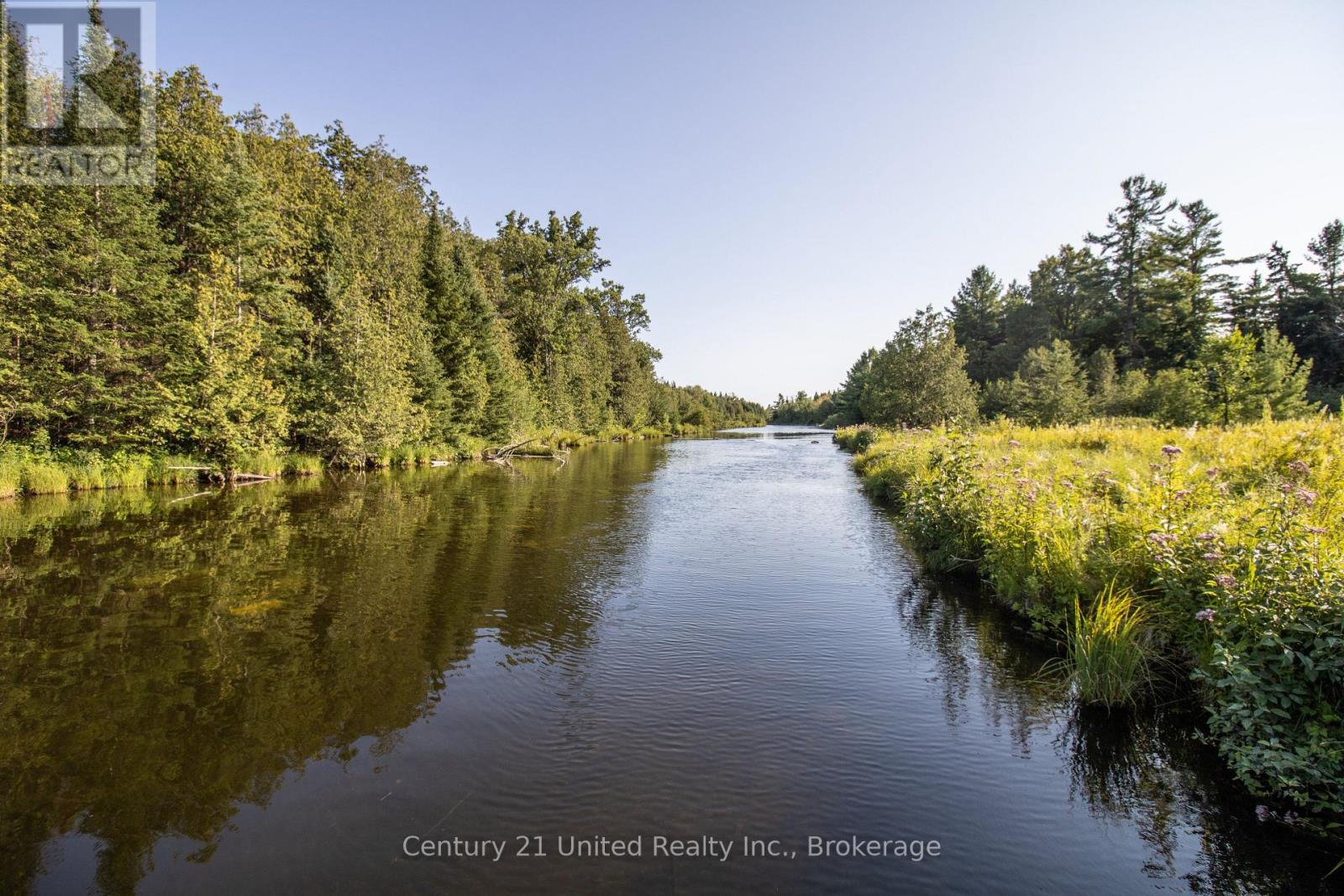 395 Sawmill Road, Douro-Dummer, Ontario  K0L 2H0 - Photo 5 - X13641574