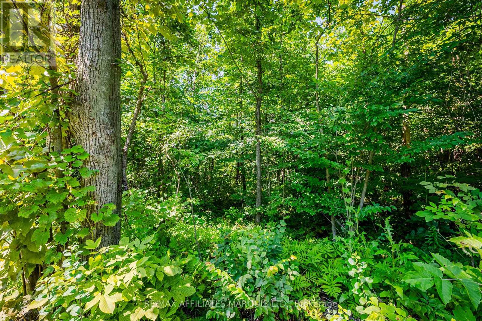 19519 Lapierre Road, South Glengarry, Ontario K0C 2E0 - Photo 16 - X13641812