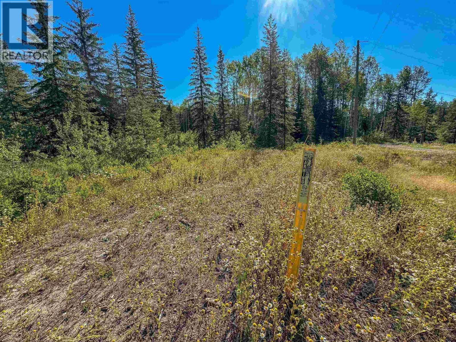 Lot A Yelich Road, Smithers, British Columbia  V0J 2N2 - Photo 9 - R3153039