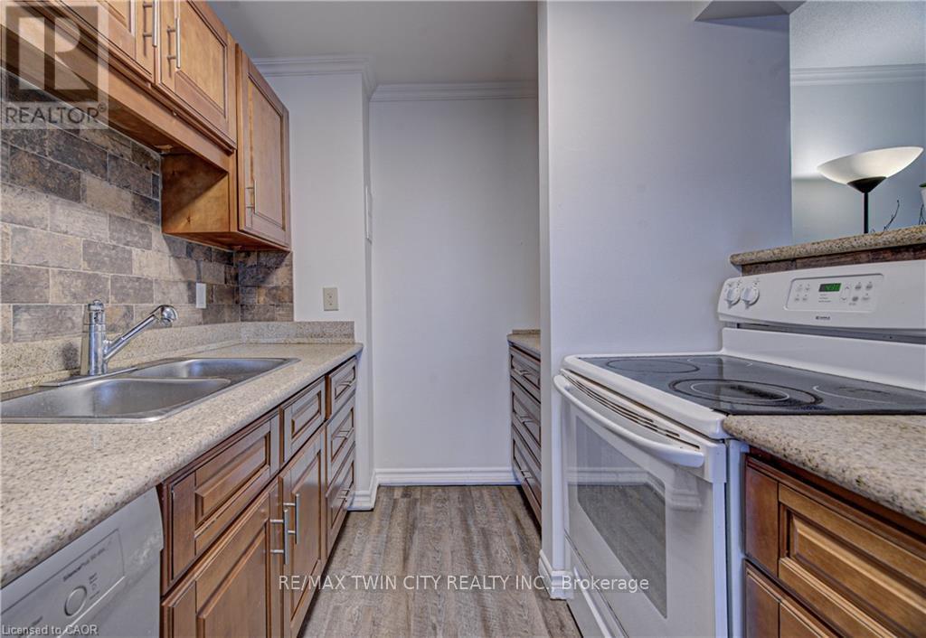 202 - 793 Colborne Street, Brantford, Ontario  N3S 7J3 - Photo 4 - X12939138