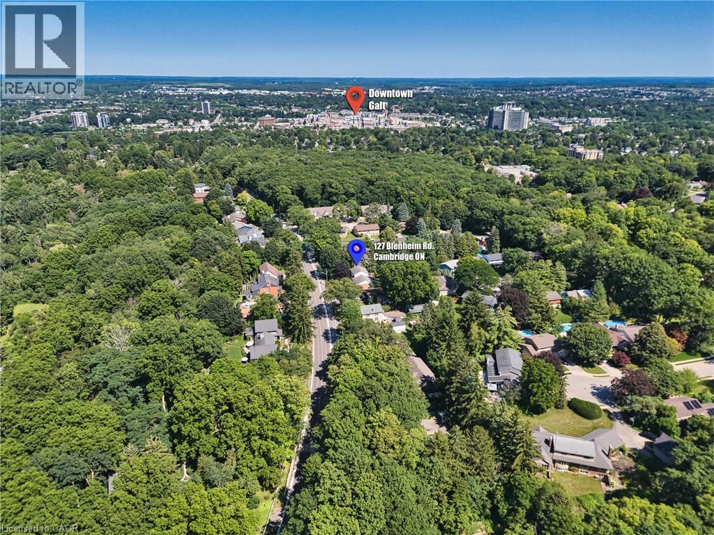 127 Blenheim Road, Cambridge, Ontario  N1S 1G4 - Photo 35 - 40848262