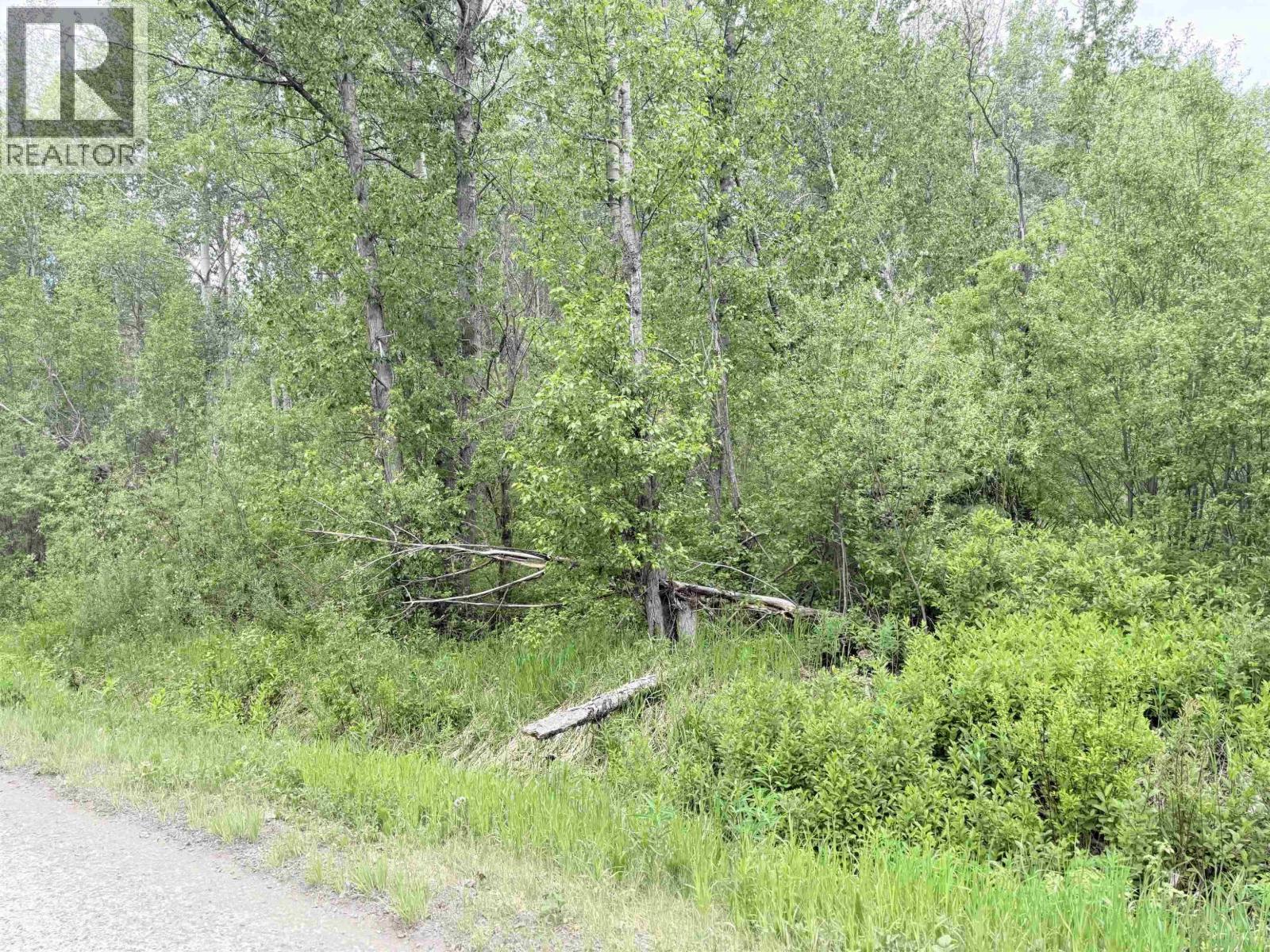 23512 Howells Road, Smithers, British Columbia V0J 2N0 - Photo 13 - R3152146