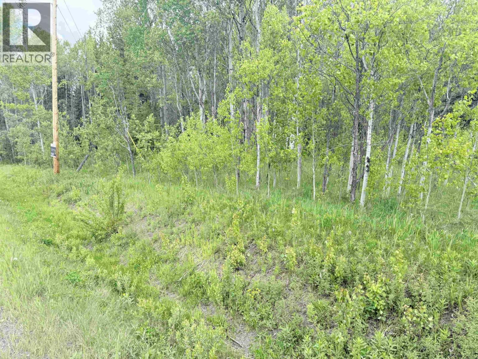 23512 Howells Road, Smithers, British Columbia V0J 2N0 - Photo 5 - R3152146