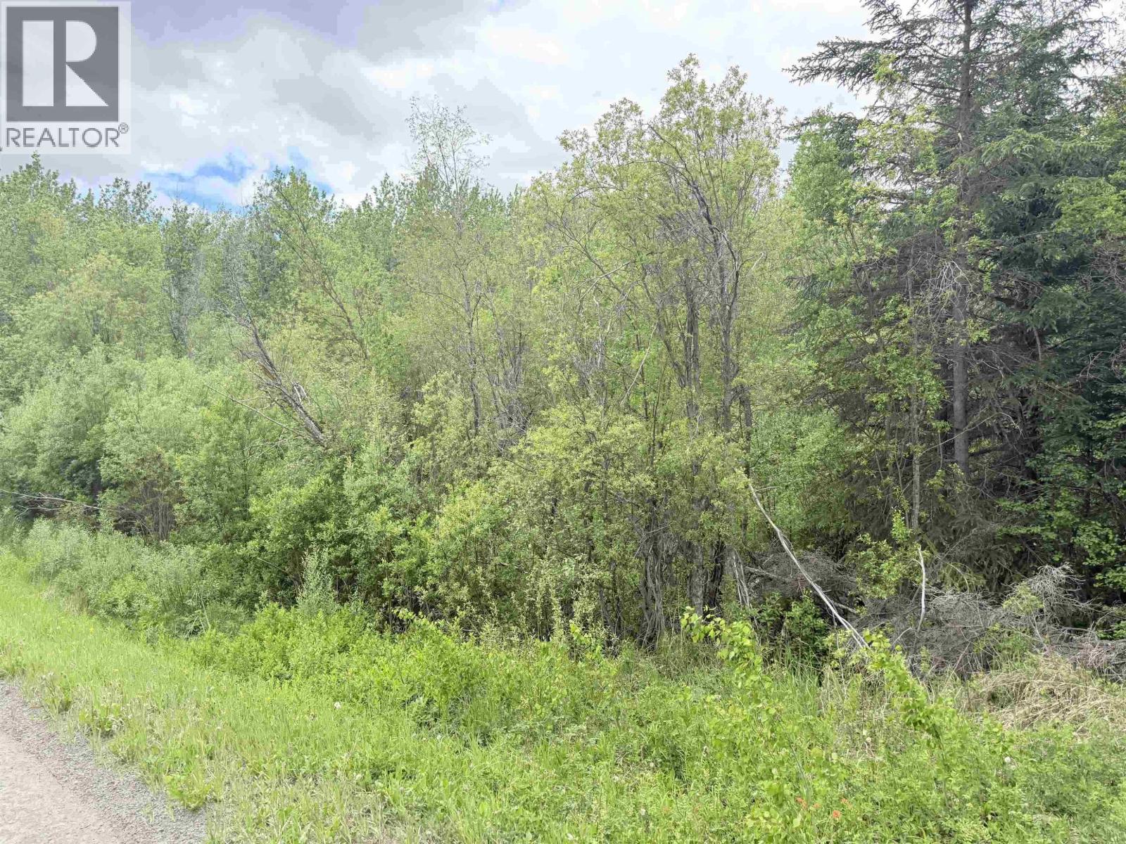 23512 Howells Road, Smithers, British Columbia V0J 2N0 - Photo 9 - R3152146