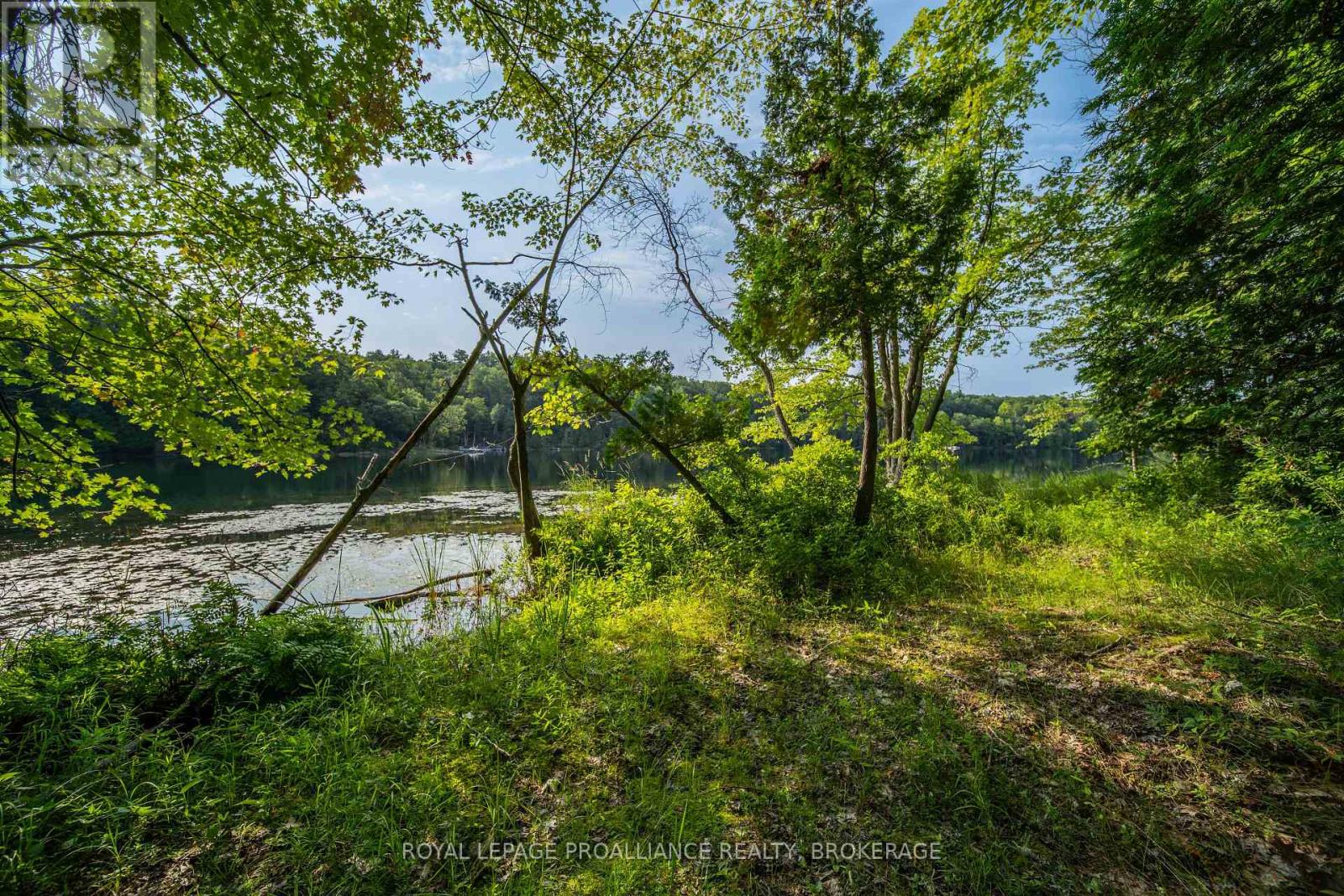 333 Steve Babcock Lane, Frontenac, Ontario  K0H 1W0 - Photo 13 - X13642038