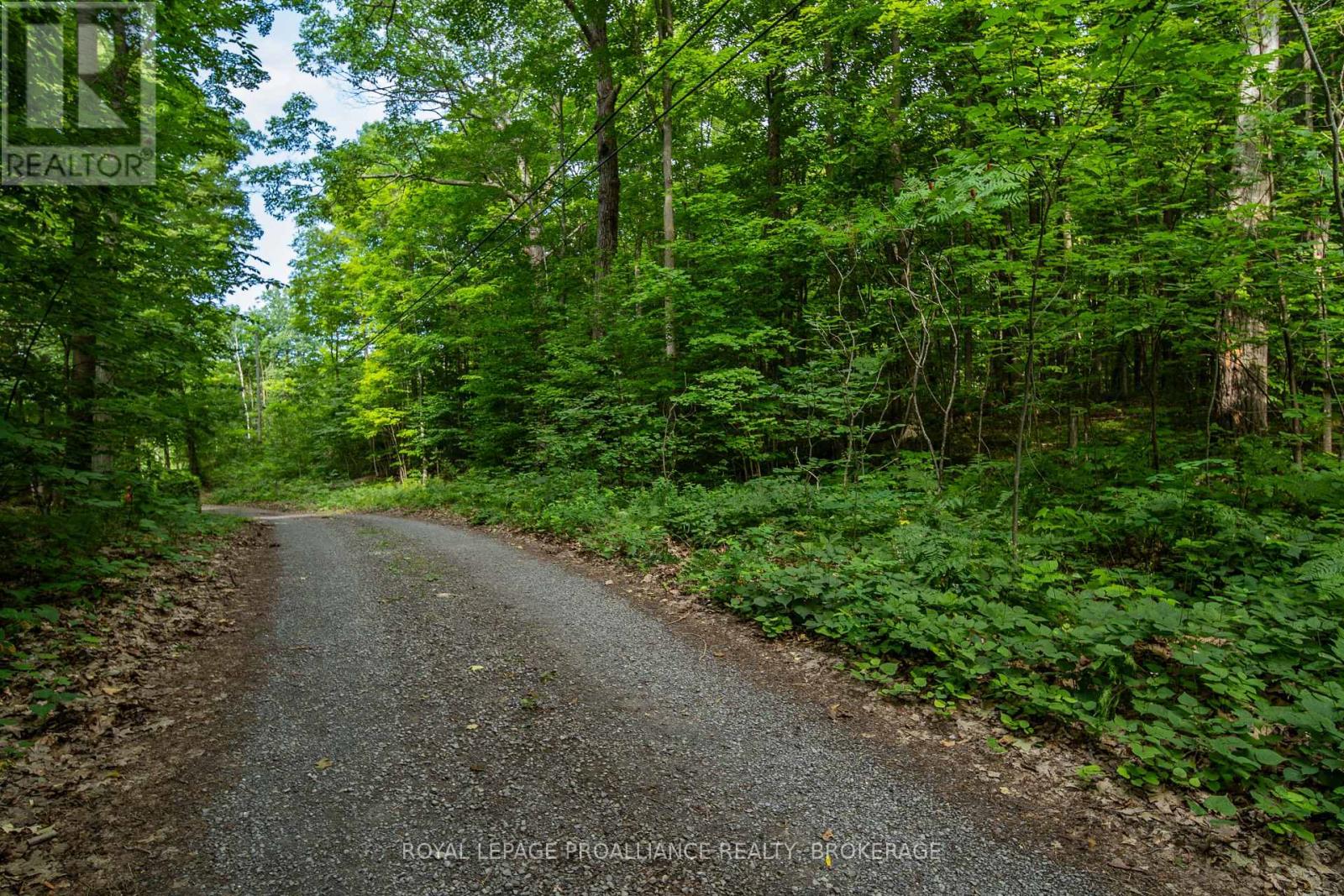 333 Steve Babcock Lane, Frontenac, Ontario  K0H 1W0 - Photo 41 - X13642038
