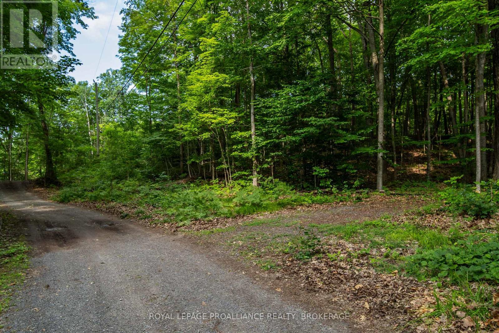 333 Steve Babcock Lane, Frontenac, Ontario  K0H 1W0 - Photo 42 - X13642038