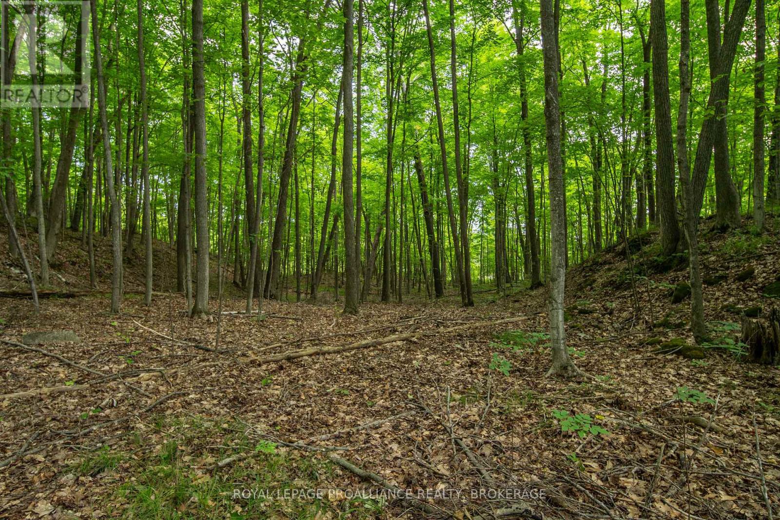 333 Steve Babcock Lane, Frontenac, Ontario  K0H 1W0 - Photo 44 - X13642038