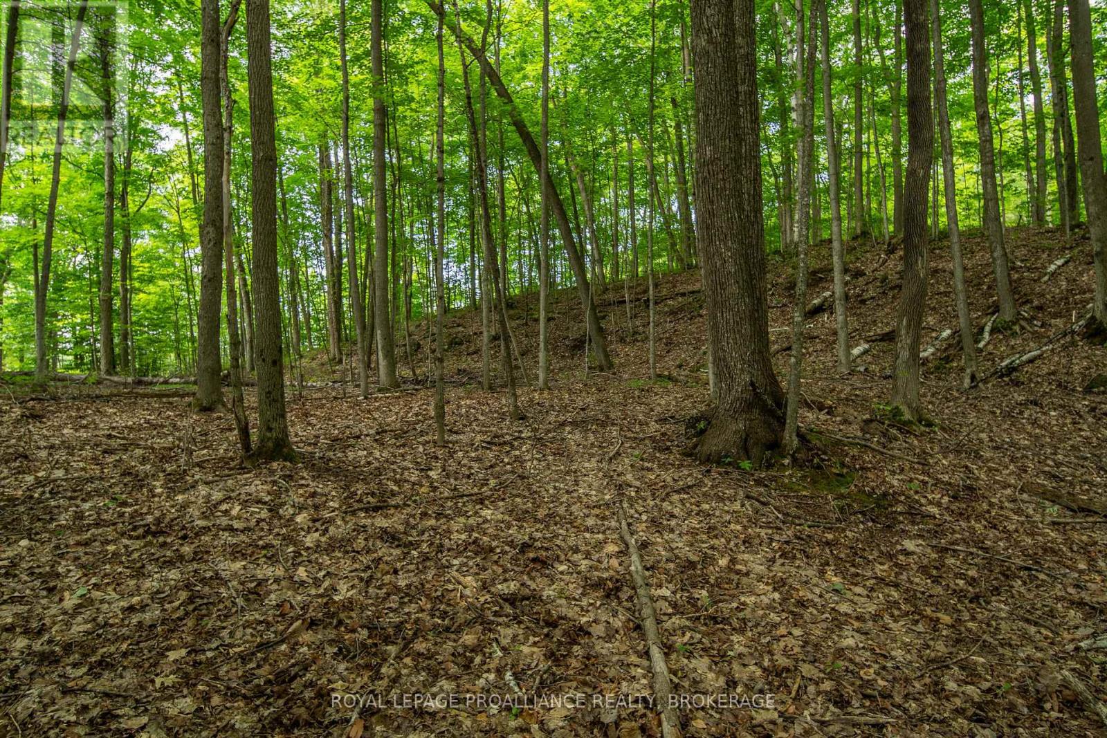 333 Steve Babcock Lane, Frontenac, Ontario  K0H 1W0 - Photo 46 - X13642038