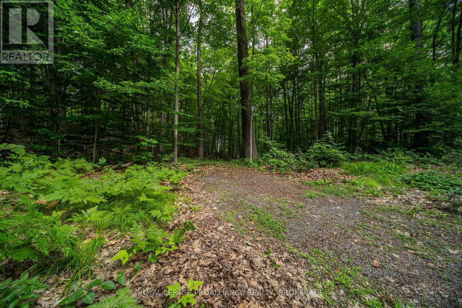 333 Steve Babcock Lane, Frontenac, Ontario  K0H 1W0 - Photo 48 - X13642038