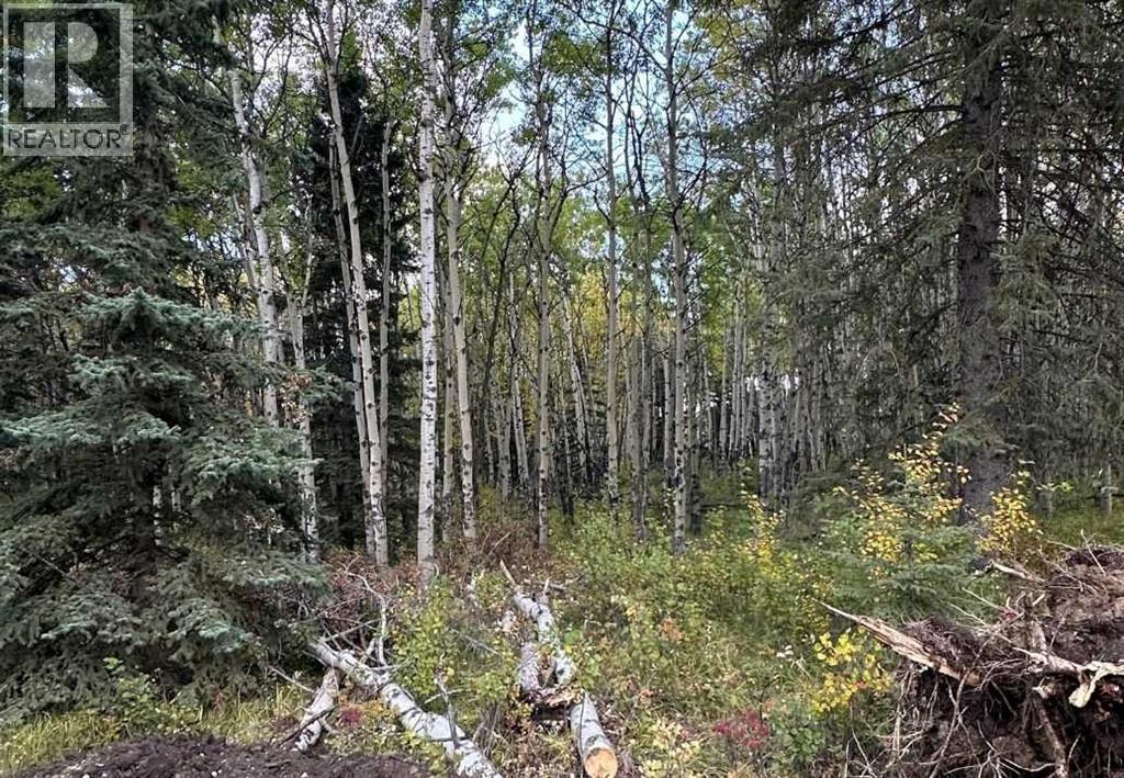 52 Elkstone Way, Rural Rocky View County, Alberta  T4C 2Y8 - Photo 2 - A2294945