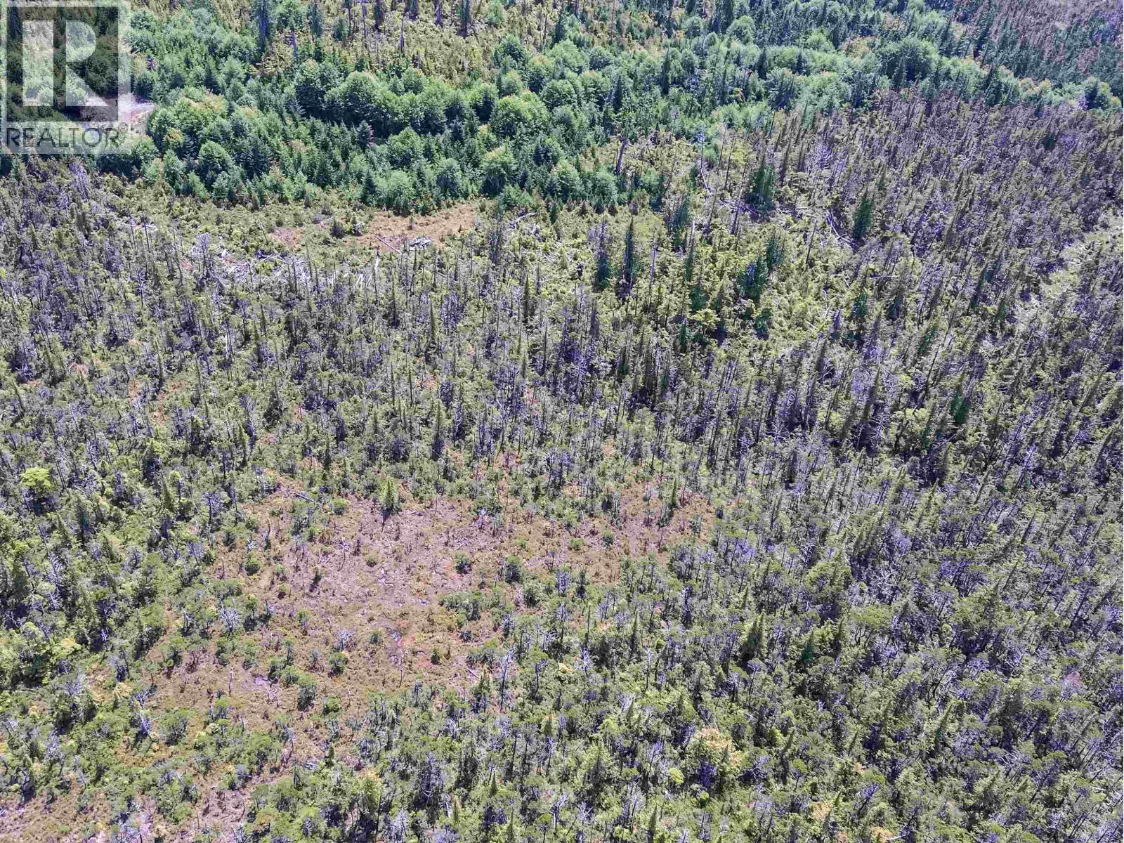 Dl 1681 Porcher Island, Prince Rupert, British Columbia  V0V 1V0 - Photo 12 - R3153062