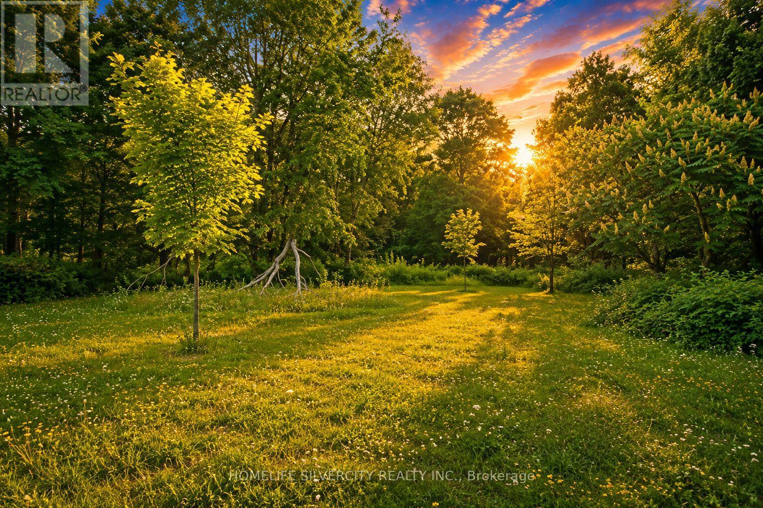 18954 The Gore Road, Caledon, Ontario  L7K 2M7 - Photo 6 - W13642450