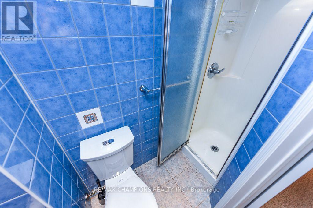 163 Simmons Boulevard, Brampton, Ontario  L6V 3Y2 - Photo 36 - W13640834