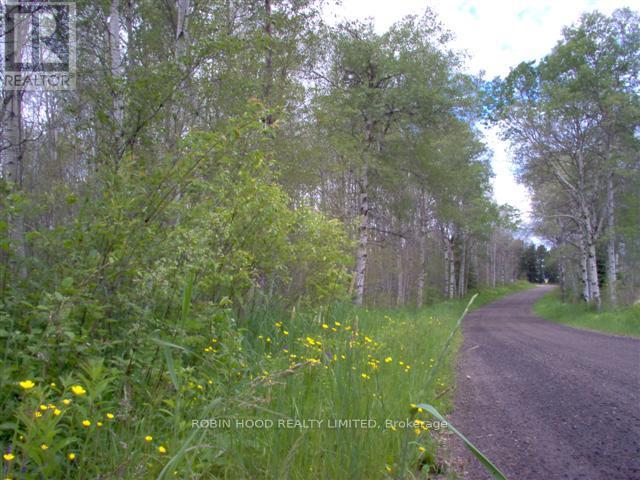 825 - 425 SPANISH RIVER ROAD, Worthington, Ontario