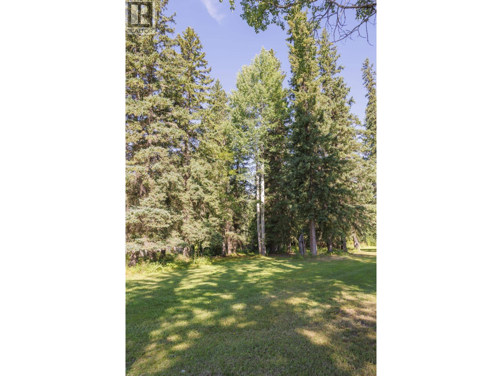 849 Bridge Road, Mcbride, British Columbia  V0J 2E0 - Photo 6 - R3153166