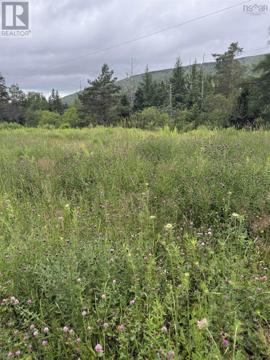 Lot 1 & 2 Whycocomagh Port Hood Rd. Soapstone Mine, Soapstone Mine, Nova Scotia  B0E 3M0 - Photo 4 - 202618357