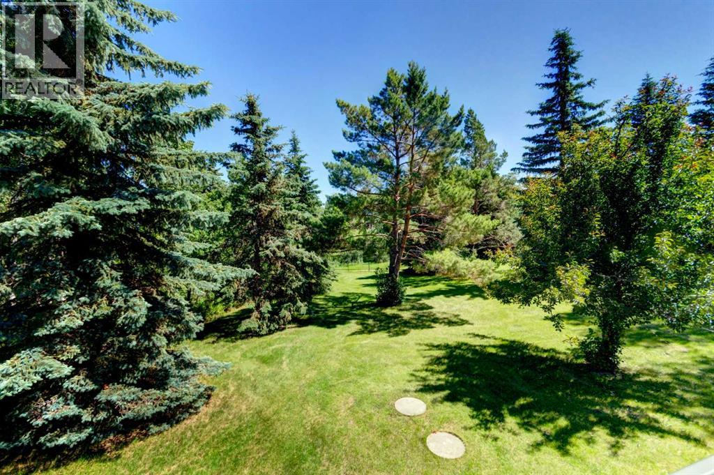 566 Pine Creek Ridge, Heritage Pointe, Alberta  T1S 3V9 - Photo 43 - A2286233