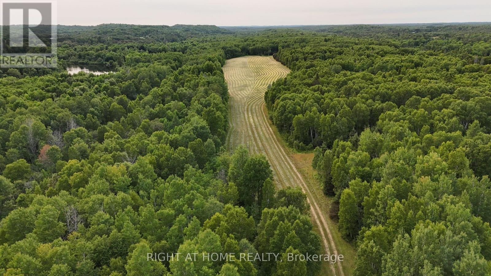 191 Ashburton Road, West Nipissing (Field), Ontario  P0H 1M0 - Photo 5 - X13642648