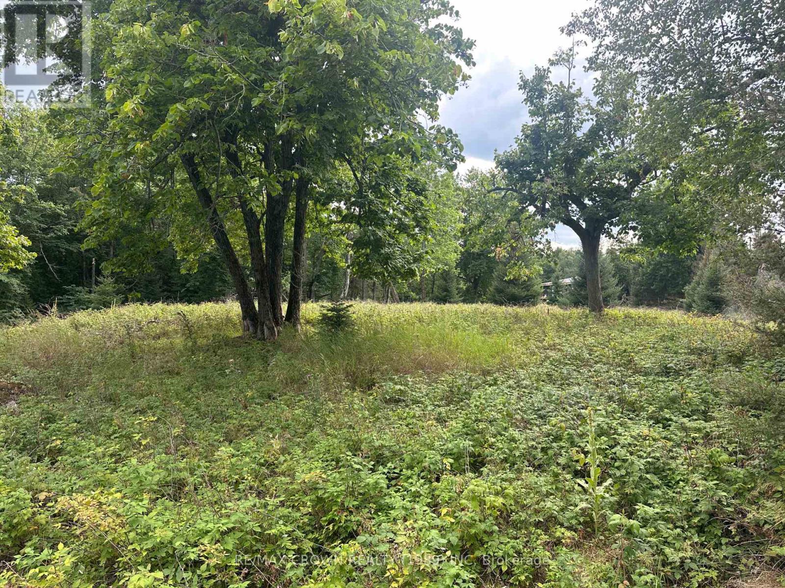 Lot 4 Smith Island, Callander, Ontario  P0H 1H0 - Photo 13 - X13530936