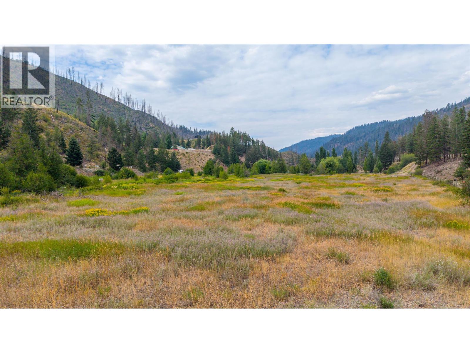 1340 Highway 5a, Princeton, British Columbia  V0X 1W0 - Photo 2 - 10396039