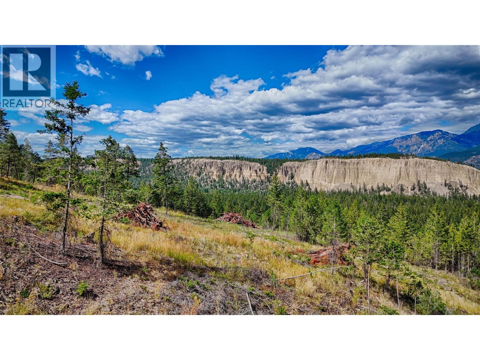 5571 93/95 Highway, Fairmont Hot Springs, British Columbia  V0B 1L2 - Photo 5 - 10393677