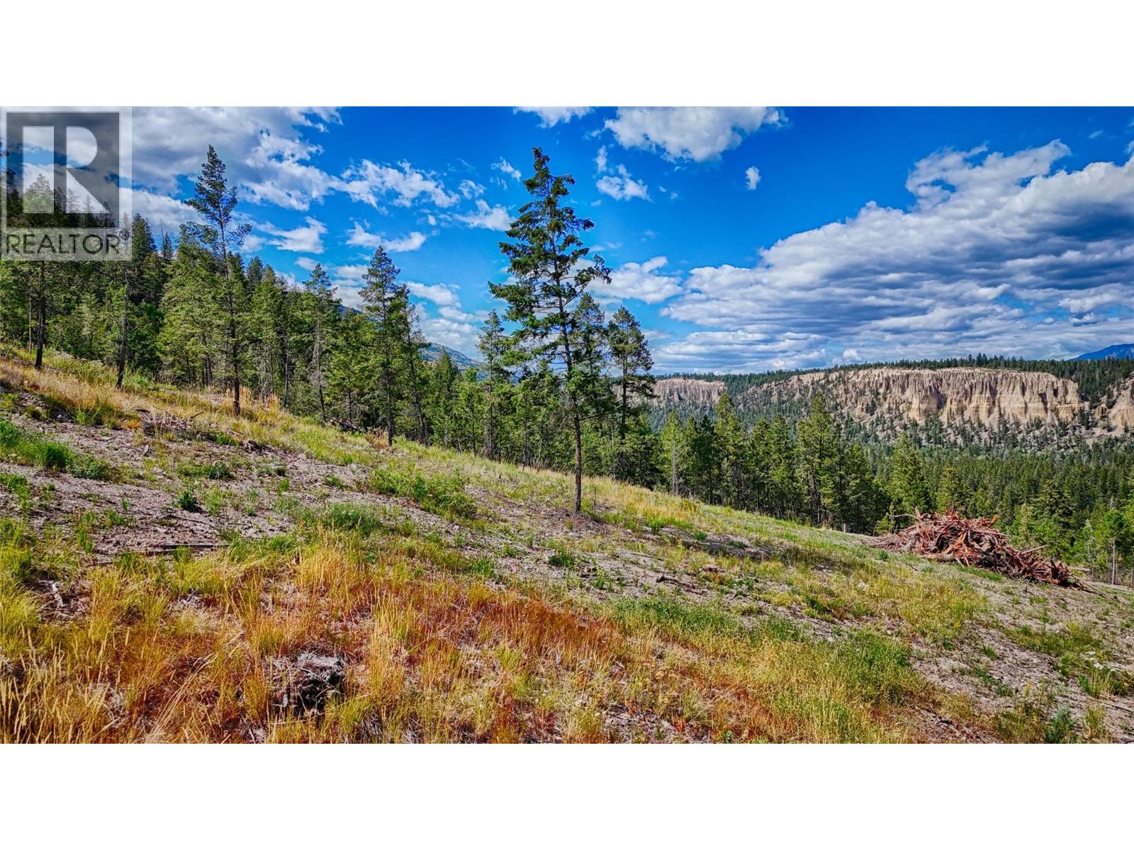 5571 93/95 Highway, Fairmont Hot Springs, British Columbia  V0B 1L2 - Photo 6 - 10393677